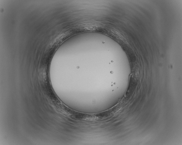 X0000076310595200610161621