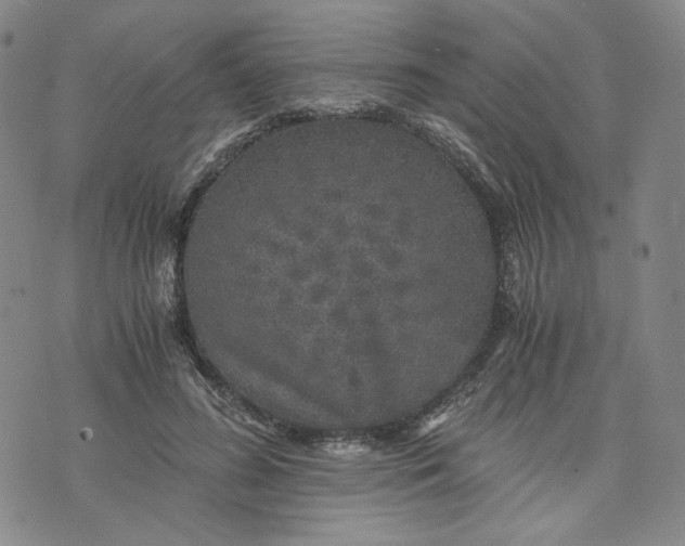 X0000076310596200610161621