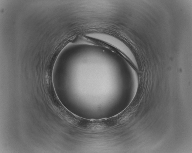 X0000076310597200610161621