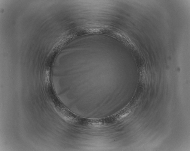 X0000076310598200610161620