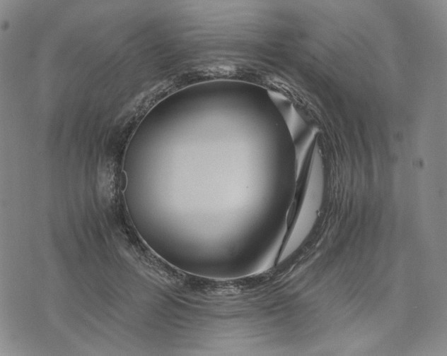 X0000076310600200610161620