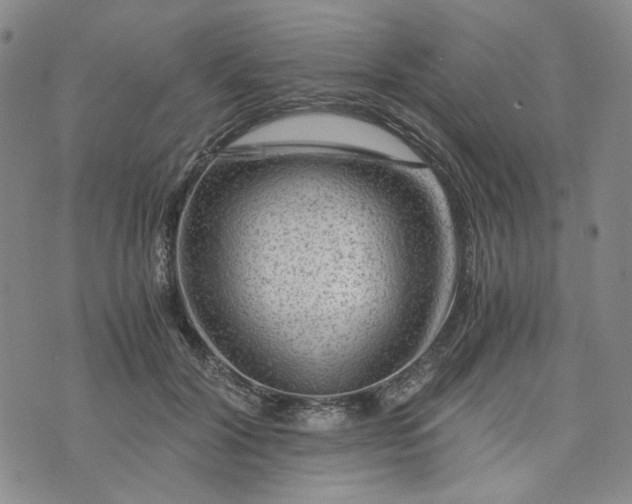 X0000076310604200610161620