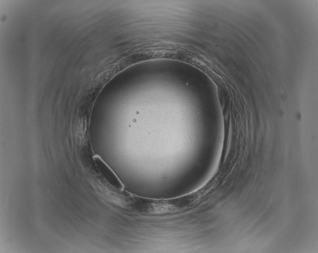 X0000076310605200610161620