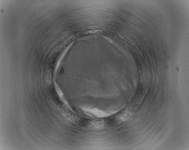 X0000076310606200610161620