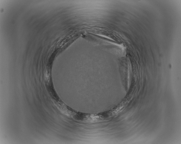 X0000076310607200610161620