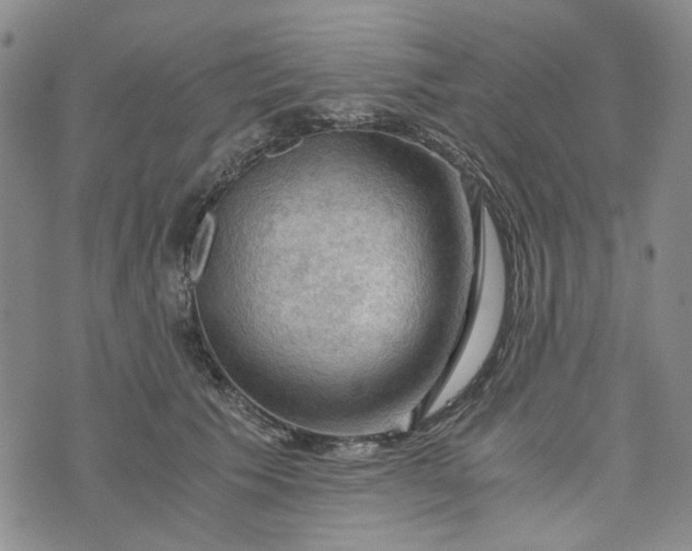 X0000076310609200610161620