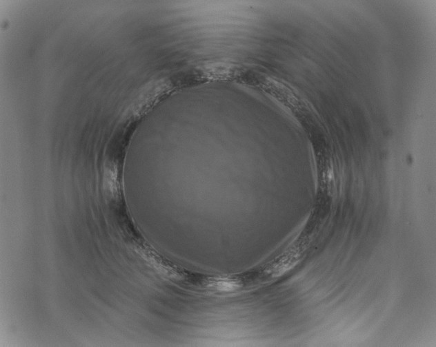 X0000076310610200610161620