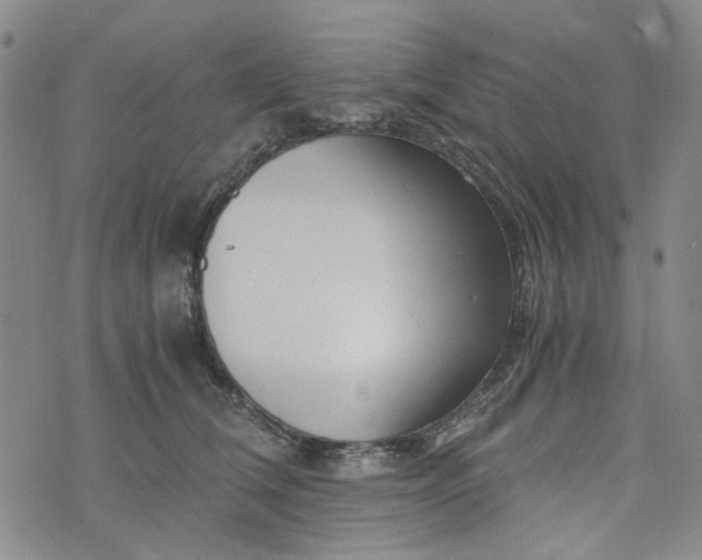 X0000076310612200610161620