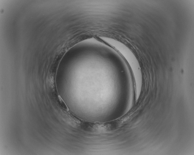 X0000076310613200610161620