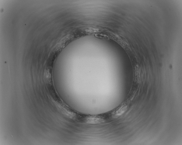 X0000076310614200610161620