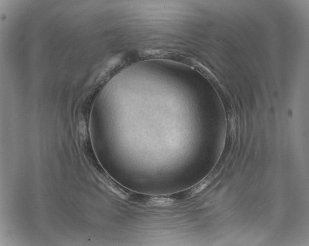 X0000076310617200610161620