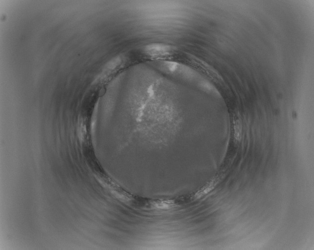 X0000076310618200610161620