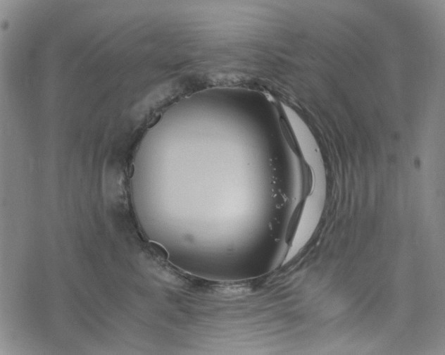 X0000076310619200610161620