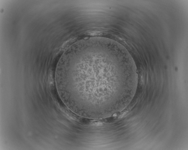 X0000076310620200610161620