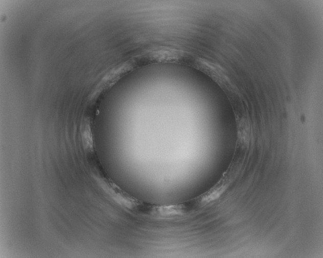 X0000076310622200610161620