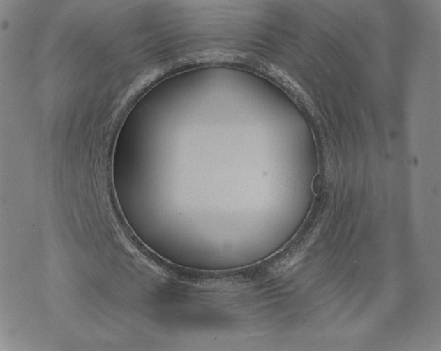 X0000076310625200610161619