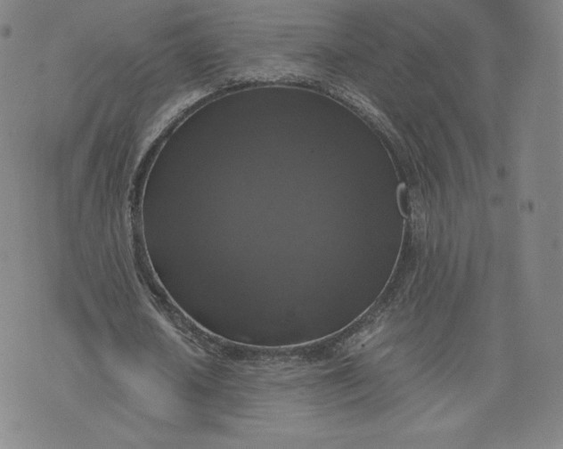 X0000076310626200610161619