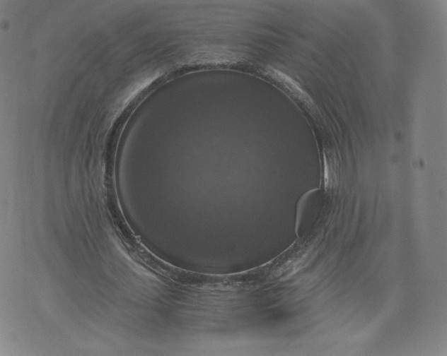 X0000076310627200610161619