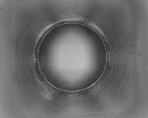 X0000076310628200610161619