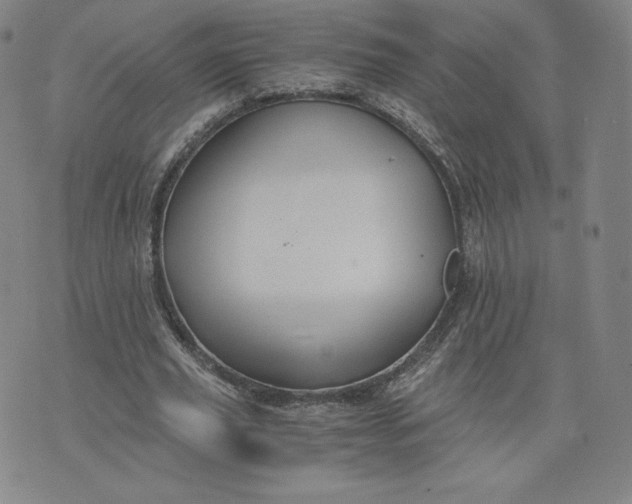 X0000076310629200610161619