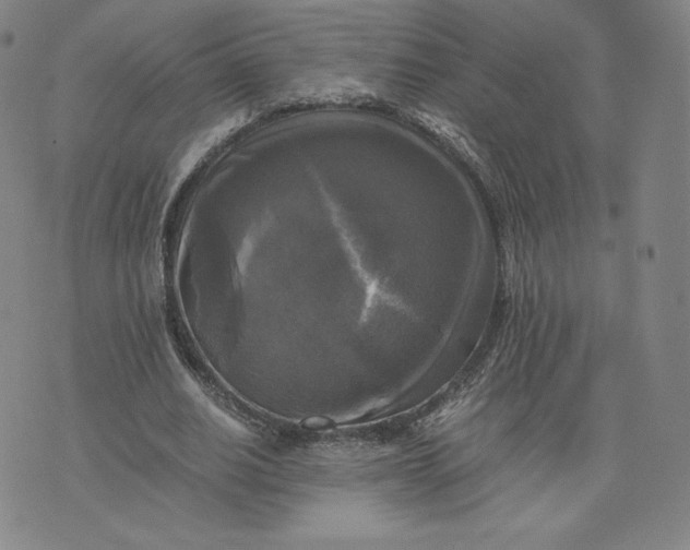 X0000076310630200610161619