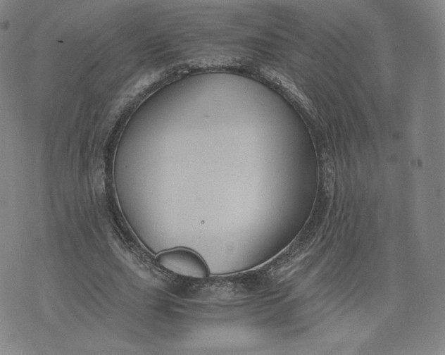 X0000076310631200610161619