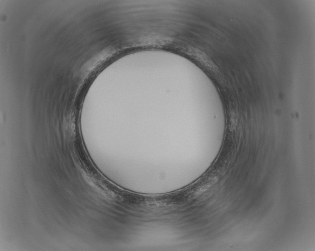 X0000076310632200610161619