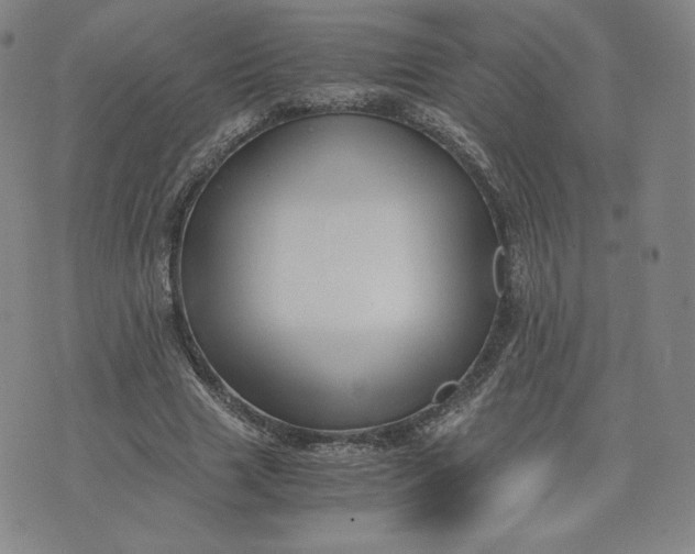 X0000076310633200610161619