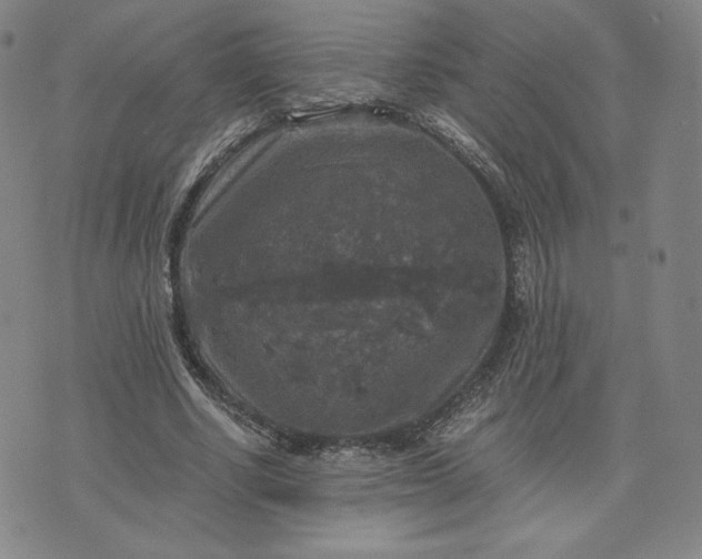 X0000076310634200610161619