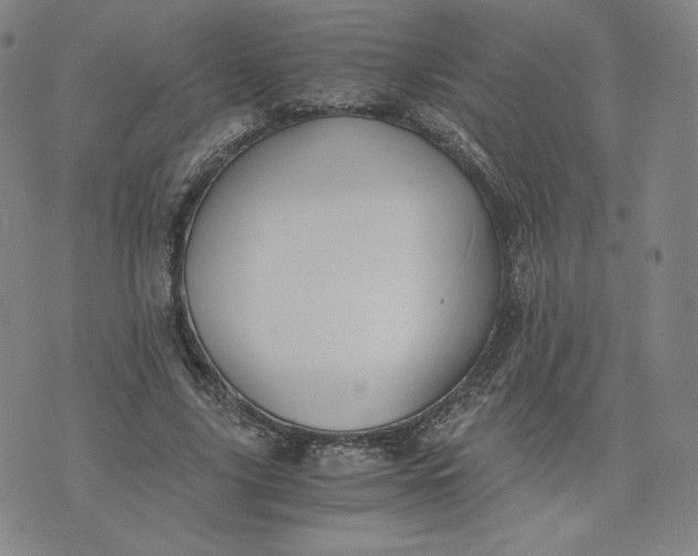 X0000076310635200610161619