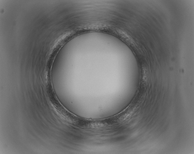 X0000076310636200610161619