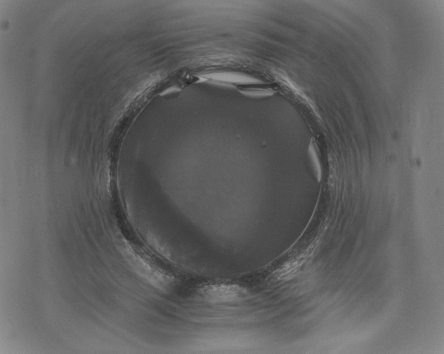 X0000076310637200610161619