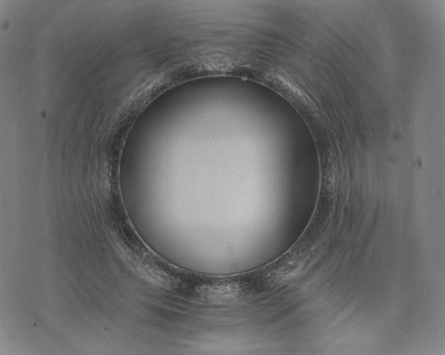 X0000076310639200610161620