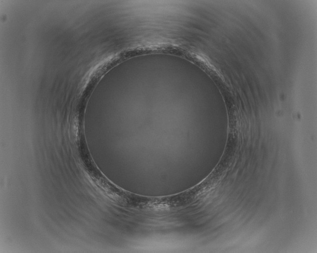 X0000076310640200610161620