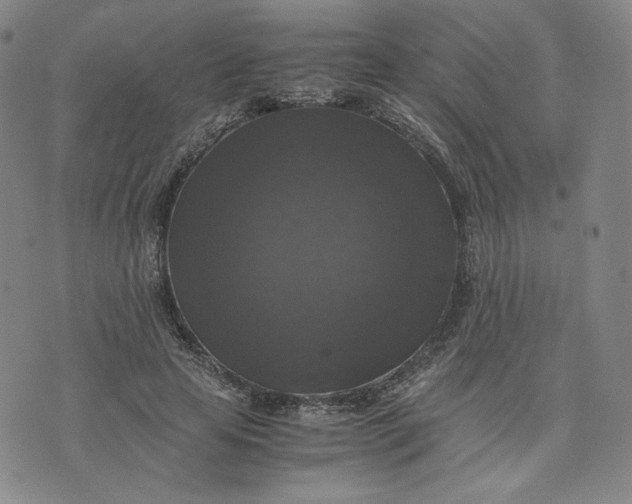 X0000076310641200610161620