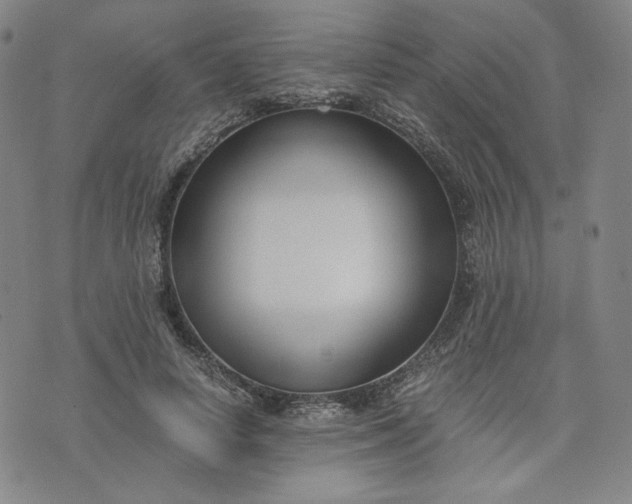 X0000076310642200610161620