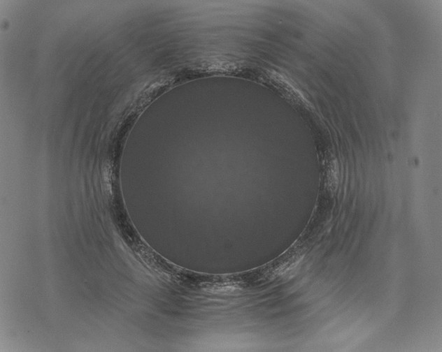 X0000076310643200610161620