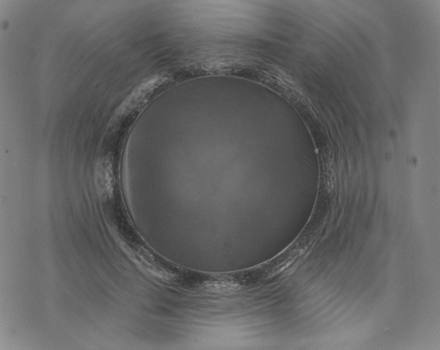 X0000076310644200610161620