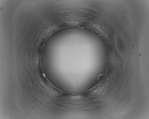 X0000076310645200610161620