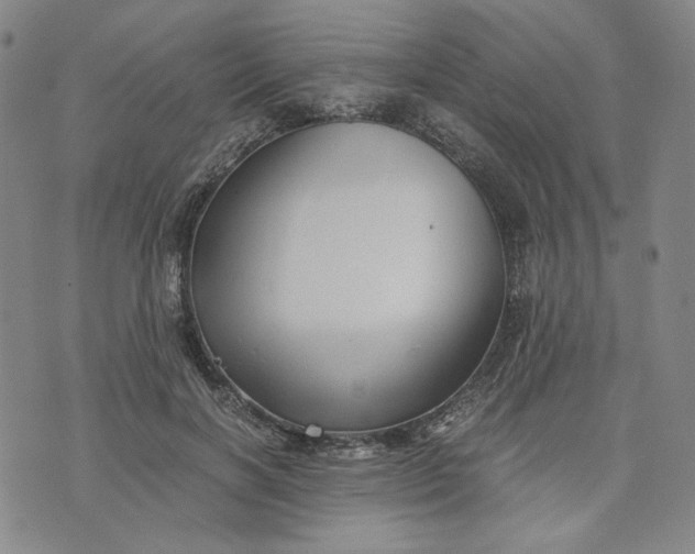 X0000076310646200610161620