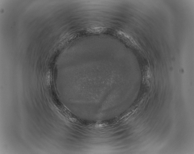 X0000076310647200610161620