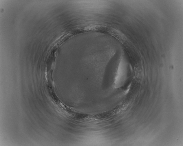 X0000076310648200610161620