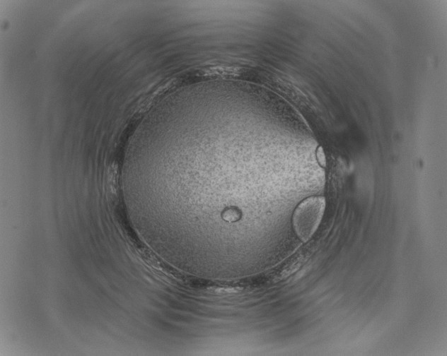 X0000076310649200610161620