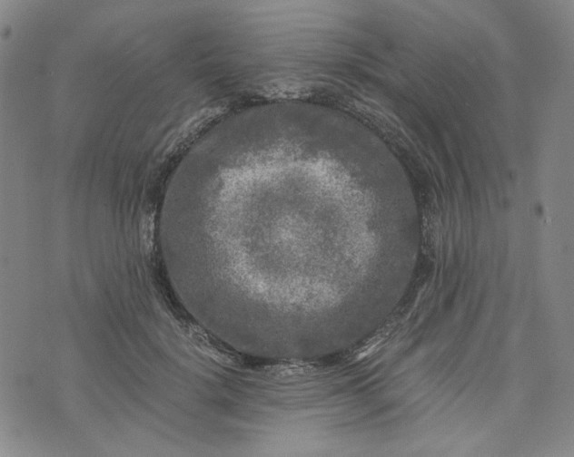 X0000076310652200610161620