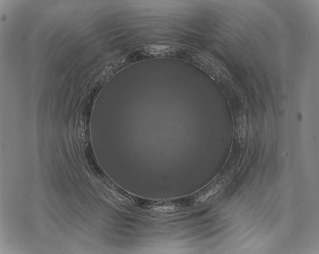 X0000076310653200610161620