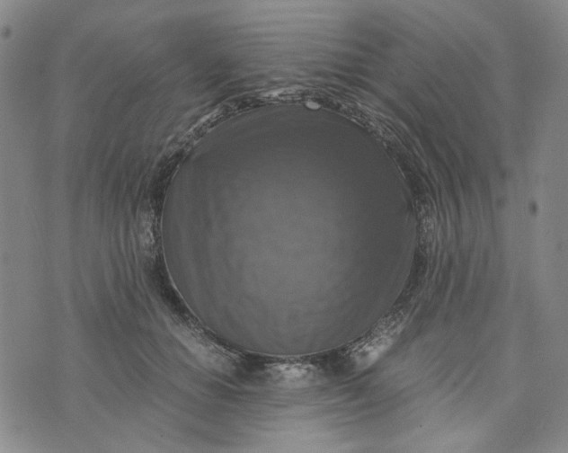 X0000076310654200610161620