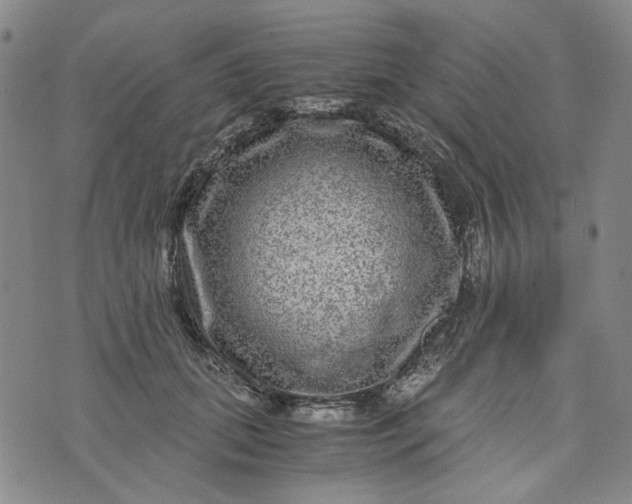 X0000076310655200610161620