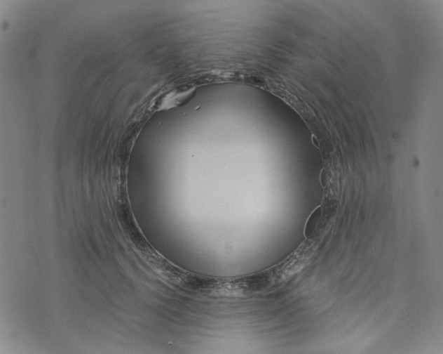 X0000076310656200610161620