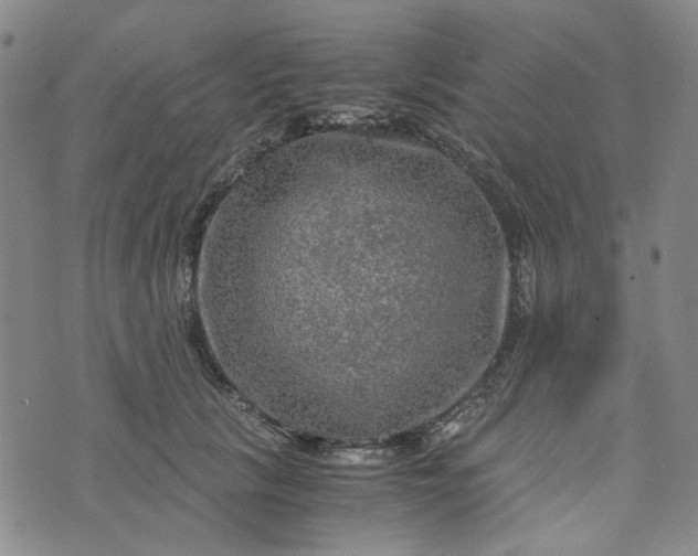 X0000076310657200610161620