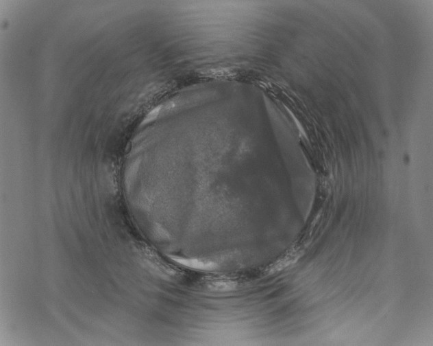 X0000076310658200610161620